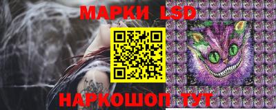 гидра Будённовск