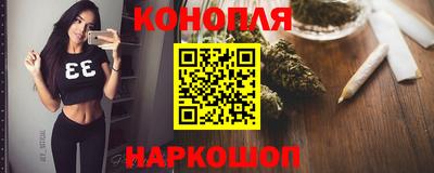 гидра Будённовск